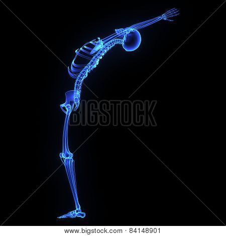 Skeletal joints