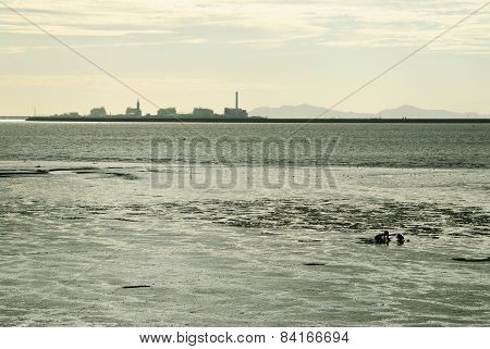 Mud Flat And People With Factory Silhouette