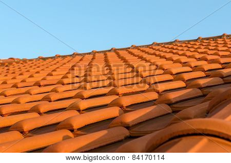 Tile Close-up