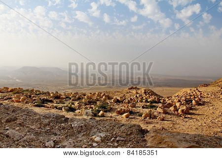Negev Desert Landscape View From The Ancient City Of Avdat, Israel.