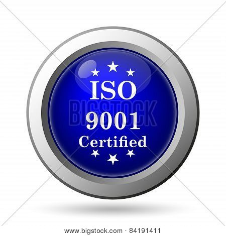 Iso9001 Icon