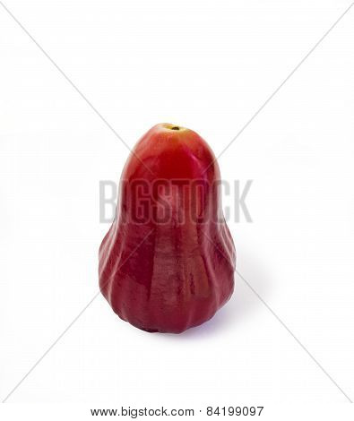 Tropical Fruit