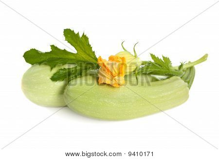 Zucchine fresche frutta con foglie verdi e fiore