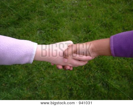 Rozmanitost Handshake