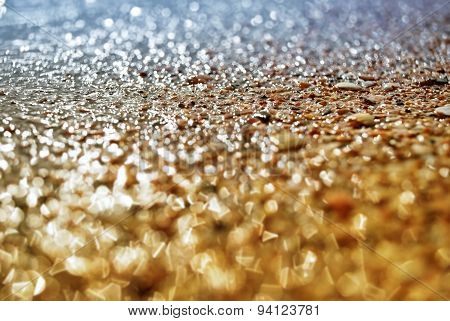 Wet Seashells