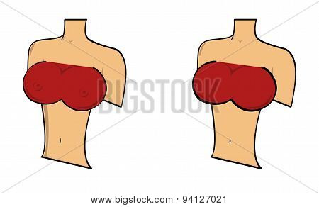 Woman's upperbody with big breasts