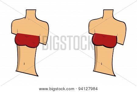 Woman's upperbody with small breasts