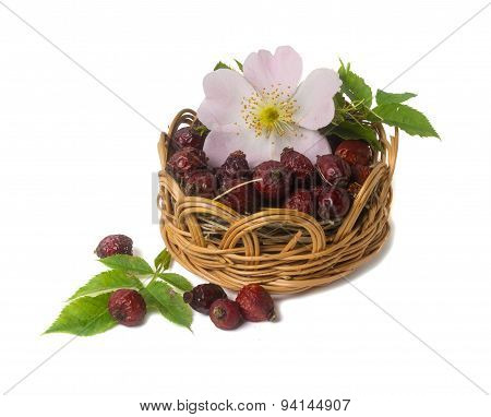 Dried Berries And Flowers Of Wild Rose Isolated On White Background