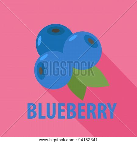 Blueberry Icon In Flat Design With Long Shadows