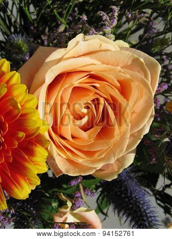A salmon pink rose in a flower arrangement