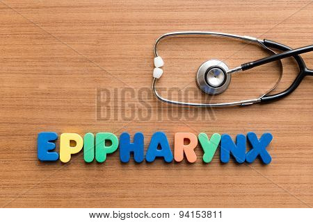 Epipharynx