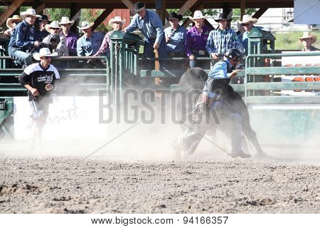 Ty Pozzobon Invitational Pbr