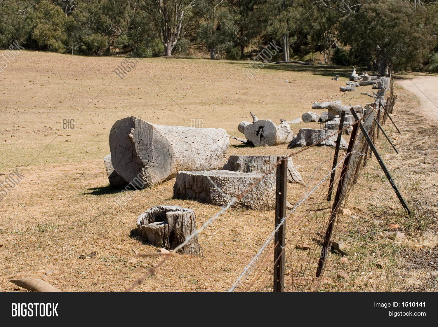 Image Preview