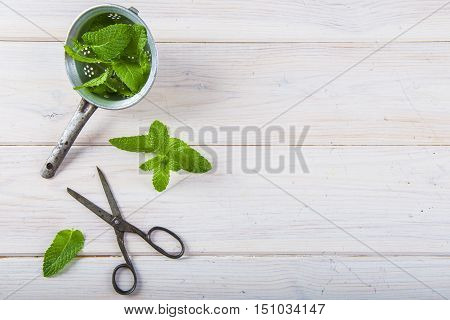 Fresh Mint Leaves In An Old Drainer