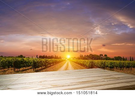 Red wine with barrel on vineyard in green Tuscany, Italy.