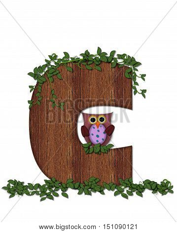 Alphabet Deep Woods Owl C