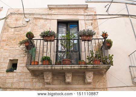 Historical palace. Acquaviva delle fonti. Puglia. Italy.
