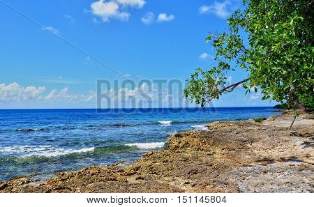 Guadeloupe Anse Bertrand France - may 10 2010 : the picturesque seaside