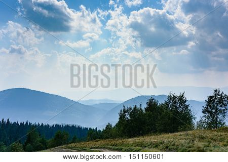 Carpathian Mountains in Summer. Beautiful nature landscape with mountains, trees and blue sky with clouds