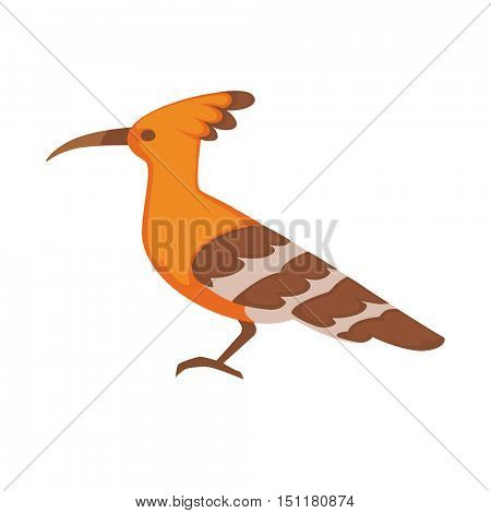 Hoopoe Vector image isolated on white background.