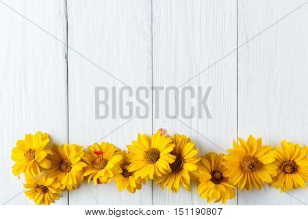frame of flowers background white board copyspace