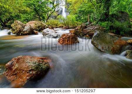 Stream in the tropical jungle and rain forest
