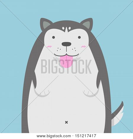 cute big fat Siberian Husky dog on light blue background
