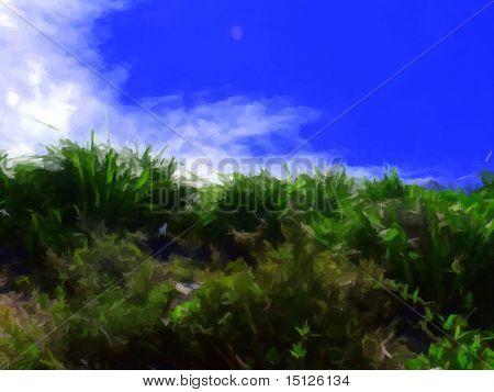 Su per la collina