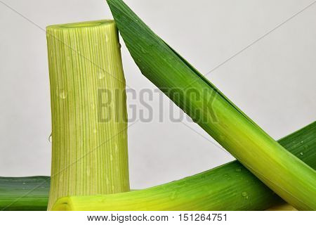 Leek vegetables isolated covered with drops of water. Allium porrum. White background.