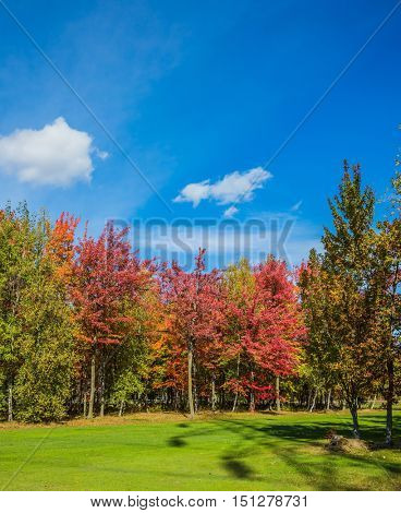 Warm sunny day on the outskirts of Montreal. Golden autumn in French Canada. The concept of automobile tourism