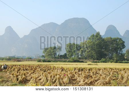 The karst mountains and rural scenery in autumn