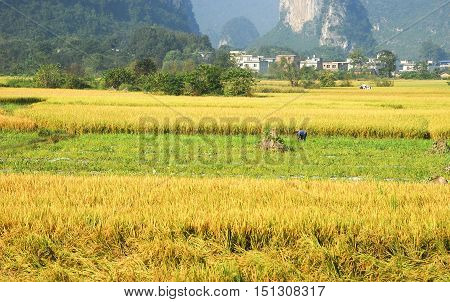 The karst mountains and rural scenery in autumn