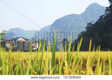 The karst mountains and rural scenery in autumn