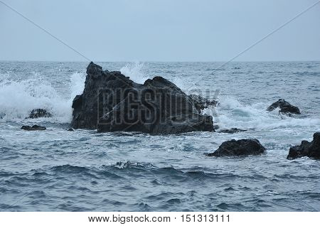 The seaside scenery in the morning, Jeju, Korea