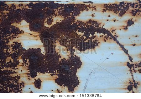rusty and peeling white piece of meatl