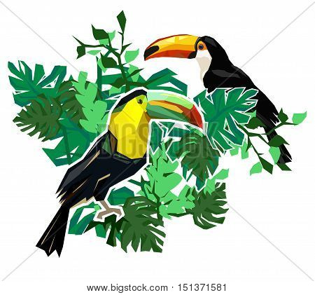 toucan print, print illustration, pattern print abstract bird, tropical bird vector. Beautiful print on a T-shirt tropical theme. Design of a tropical bird. toucan vector