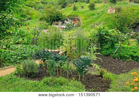 Matamata, New Zealand - January 15, 2015: Hobbiton - Fictional Village Created For The Movie Lord Of
