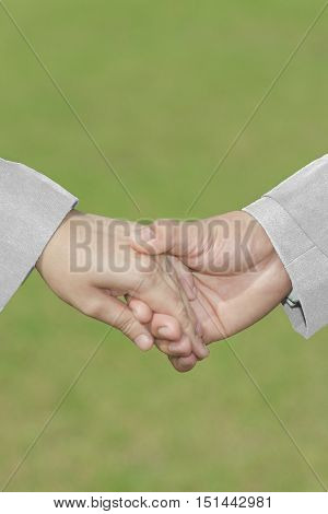 Groom's Hand Holding Bride's Hand With White Dress&Suit Love Sex Valentine Wedding Symbol On Green Grass Background