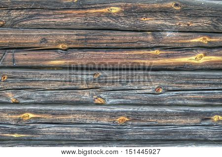 texture of wood log wall in the extended Dynamic Range