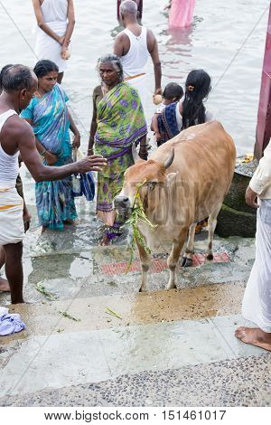 Rameswaram, Tamil Nadu, India - May 25, 2014. Full report about Rameswaram pilgrimage, religion. Religious city rituals. Life in the street before going temple