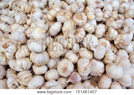 Bunch of garlic on the market. Fresh garlic harvested from the garden for sale. Vitamin healthy food spice image. Cooking ingredient picture. Pile of white garlic heads. Natural flu medicine healer