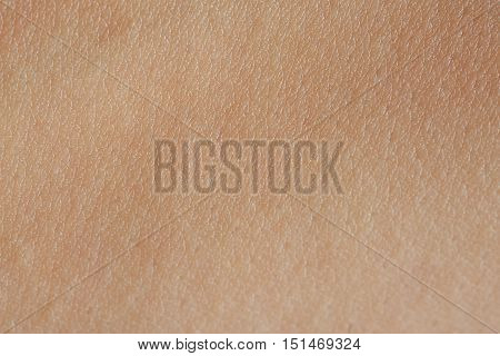 Cells On Human Skin
