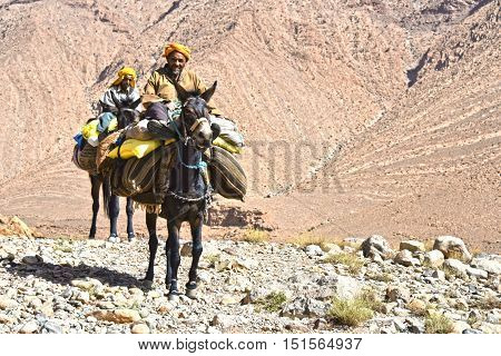 Berbers Are Indigenous People To Atlas Mountains Of Morocco.