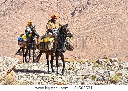 Berbers Are Indigenous People To Atlas Mountains Of Morocco.