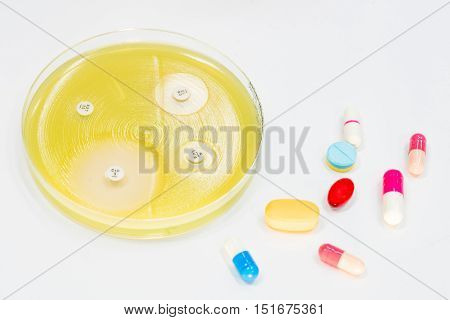 Sensitivity Tests On Mu Plate And Antibiotic.
