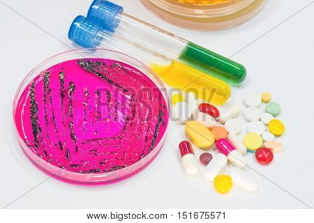 Bacterial Colonies Culture Growth, Biochem And Antibiotic.