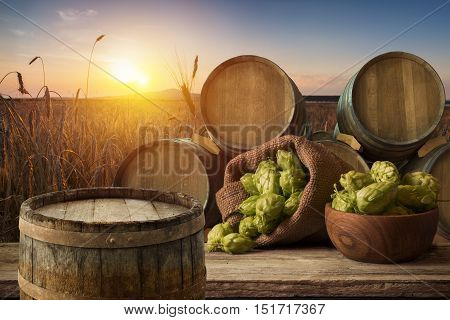 glass of beer with hop cones in the hop field