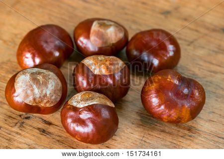 Fresh chestnuts on a rustic wooden background