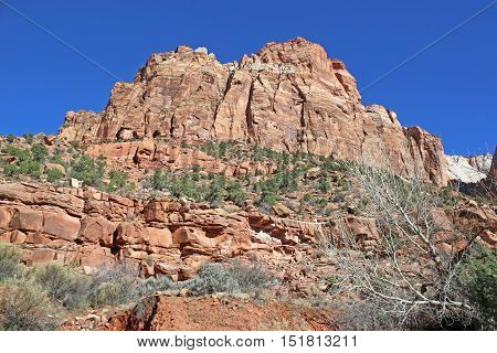 Red rocks of Zion National Park in Utah