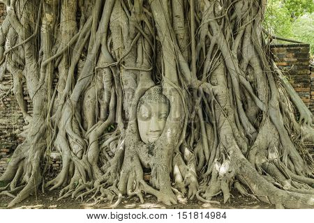 Old Beautiful Thai Temple wat Mahathat Ayutthaya Historical Park Ayutthaya Thailand